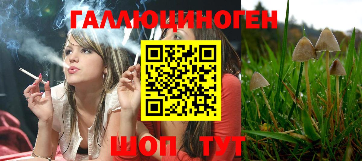 Псилоцибиновые грибы ЛСД Когалым